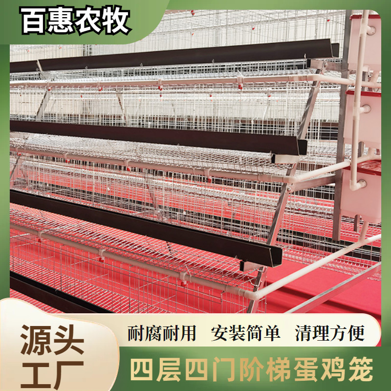 Equipo de jaula para pollos de cuatro niveles y cuatro puertas apilados para granjas. Fábrica de equipos de jaula para pollos tipo escalera galvanizada de múltiples niveles.
