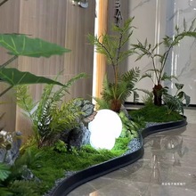 ����ֲ���쾰���z���ڇ��l��ˮ�l�҃ȾGֲ��߅�����̨�ړ�������