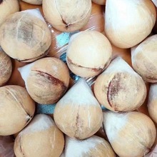 泰國椰皇新鮮水果進口水果當季椰子整箱批發