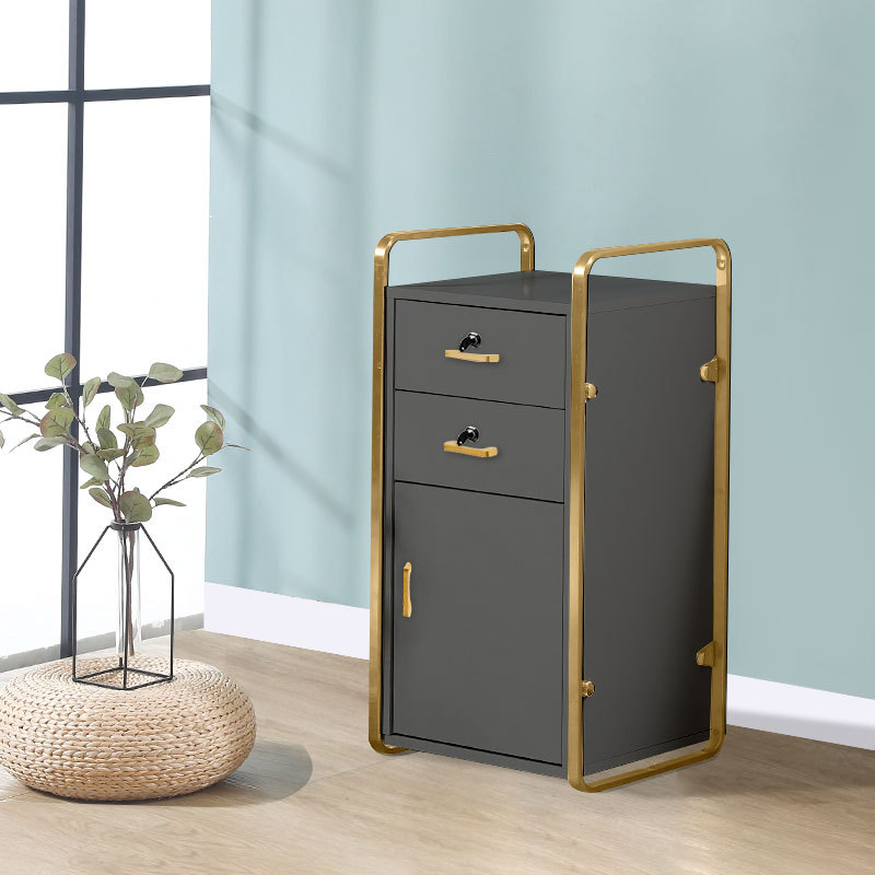 2024 새로운 스타일의 골드 프레임 다크 그레이 캐비닛