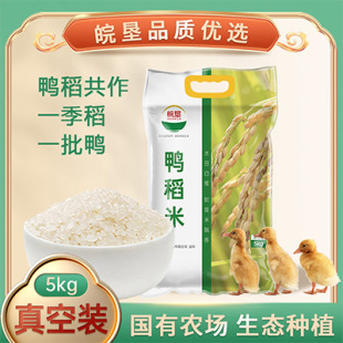 �������������5kg����2.5kg5������b10��������������