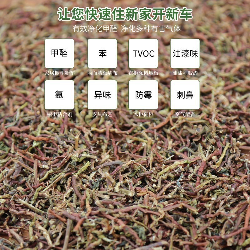 家庭装飾用のホルムアルデヒドを除去する茶の茎 鉄観音茶の枝 新築住宅や新車の消臭とホルムアルデヒドを吸収する茶の根|undefined