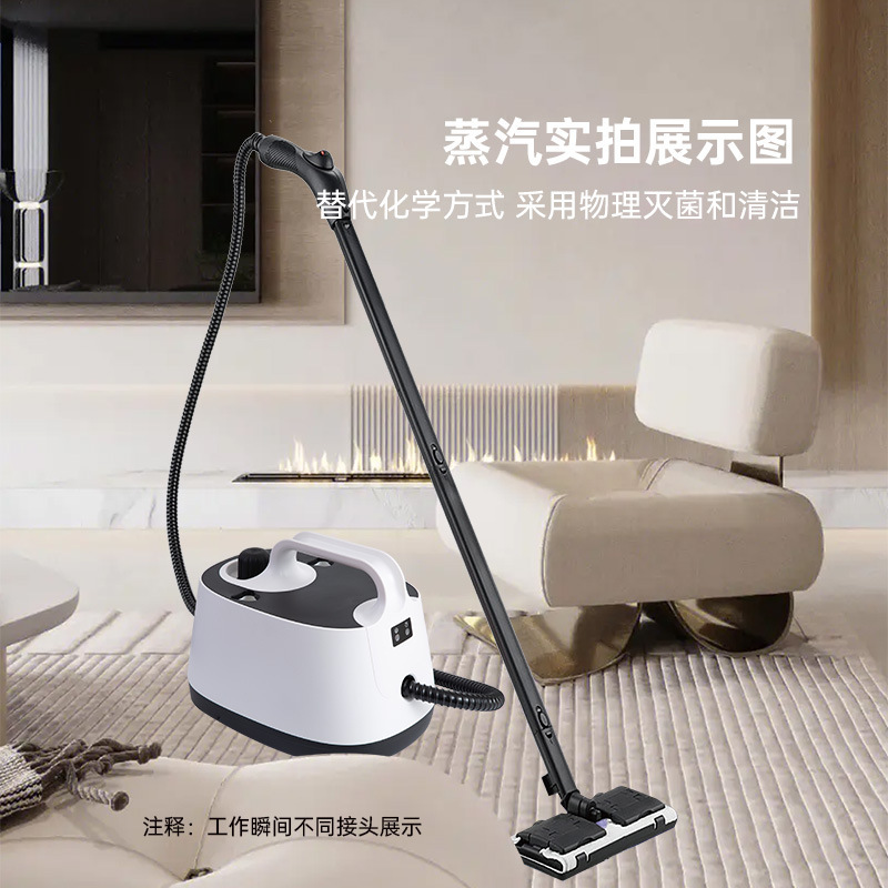 新型高温蒸気洗浄機家政洗浄機ホルムアルデヒド治理自動車フィルム欧米の家庭スタイル1|undefined