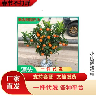 �ʵ۸��� ���ڵc�ʵ۸̘���ؕ�������������Ә���ɰ���٘���