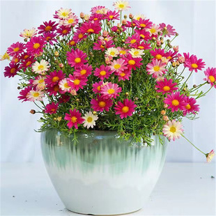 �������ػ��玧�����Ծջ������̨ͥԺС�r���ǹ��ļ����B���