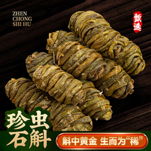 精品珍虫石斛 高端品质胶质爆满无渣 大颗粒枫斗石斛煲汤一件代发