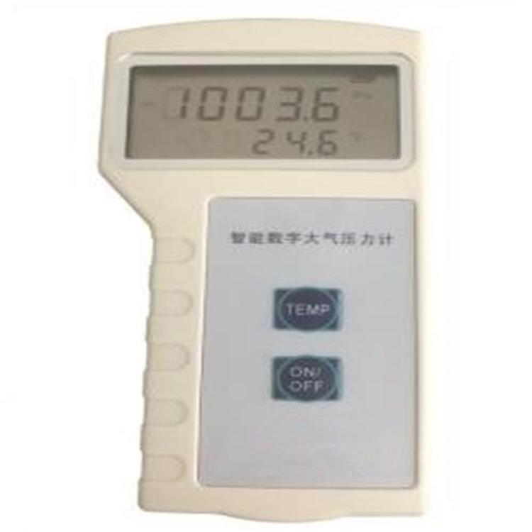 数字大气压力表 型号:SO01201 库号：M404916