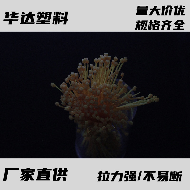 彩色尼龙捆扎带扎线塑料环保自锁式医疗扎带束线带电线医用