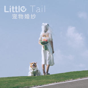 Dog thin clothes pet wedding dress cat Princess dress wedding dress pettiskirt Corgi photo clothes