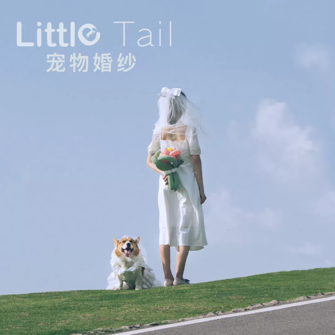 Собака тонкая одежда домашнее животное свадебное платье кошка платье принцессы Свадебное платье юбка Корги фото одежда