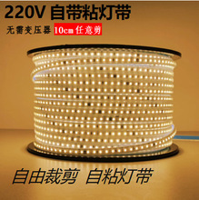 220v高压led2835免驱动免电源灯带集成吊顶家装线条灯室内照明