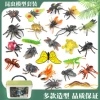 24 large insects+storage barrels