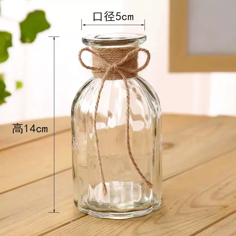 桌面创意插花玻璃小瓶子手工DIY装饰瓶水养植物花瓶室内摆件绿植