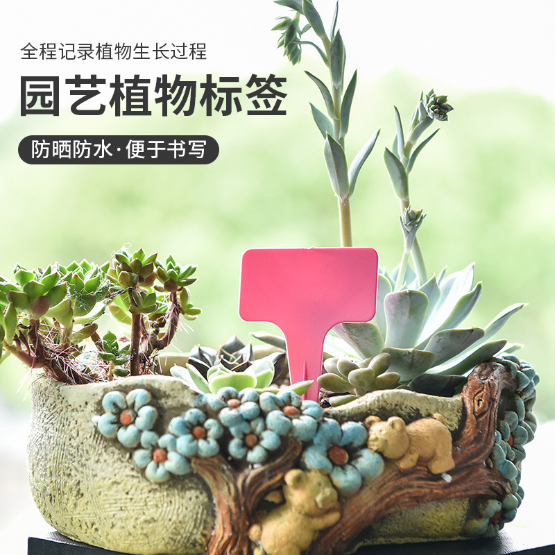 园艺标签T型多肉植物花卉地插牌塑料防水园艺苗木花盆标识牌