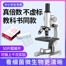 ��W�@΢�R��ͯ�ƌW��򞌣�I����С�W���ЌW�����ÿ�ԇ�п����ͬ