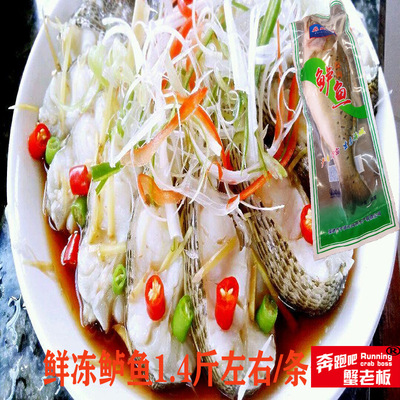 新鲜鲈鱼鲜活海捕大鲈鱼冰冻深海鱼海鲜水产七星海鲈鱼海鲜花鲈|ms
