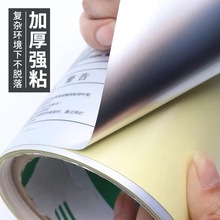 ���y�������z�˺� ���y���N������̘�늳�늾����y���͸ߜؘ˺�