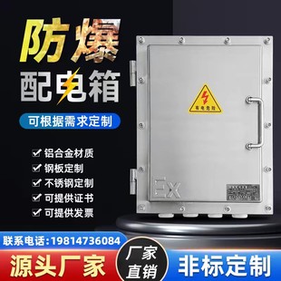 Network cabinet junction box control IIB/C maintenance socket switch button box stainless steel explosion-proof box distribution box