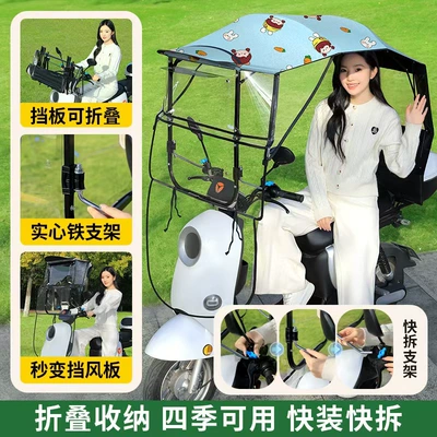 Elektromobil üçün ön şüşə çətiri (günlük) – Folding Full Canopy - front-folding-full-retractable-canopy-vinyl-orchid-girl-car-has-rearview-mirror-for-photos-vinyl