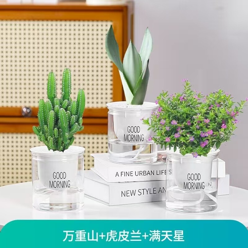 Green Radish, Money Tree, Asparagus Fern, Succulent Plants, Potted Plants, Indoor Mint, Lucky Bamboo, Hydroponic Small Green Plants, Easy to Maintain Green Radish, Money Tree, Asparagus Fern, Succulent Plants, Potted Plants, Indoor Mint, Lucky Bamboo, Hydroponic Small Green Plants, Easy to Maintain