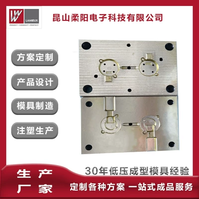 Manufacturer Polyamide Low Pressure Injection Mold Precision Machining Mold Design Automotive Electronic Injection Mold Manufacturing (Avtomobil hissələri qəlibləri)