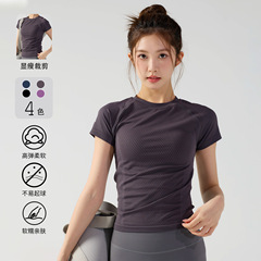 速乾性半袖フィットネス服女性弾性タイトフィットピラティストレーニングヨガ服ランニング通気性スリムヨガトップ