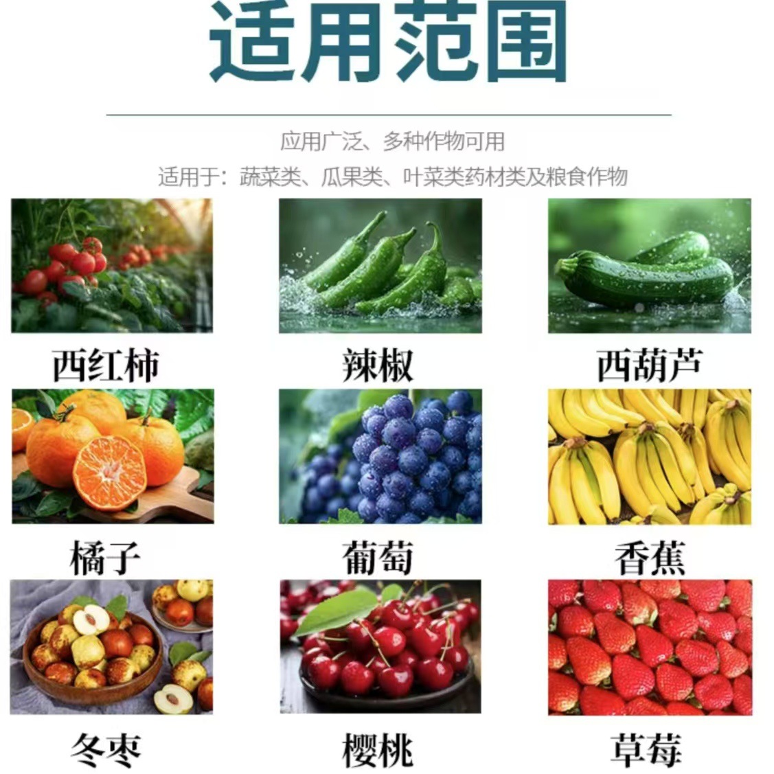 微信图片_20250210195507