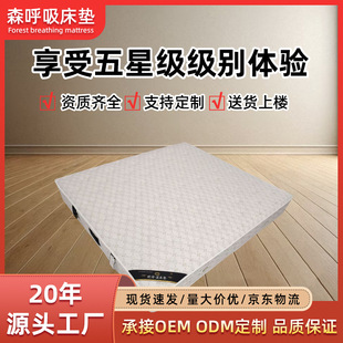 ���Ǽ��Ƶ�˯�д��|�h�����o��ƫӲ�Ӵ��Ჴ���A���o���o��22CM�|