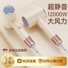 静音电吹风家用发廊大功率吹风机负离子护发风力蓝光速干一件起批