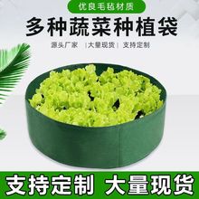 毛毡无纺布圆形种植袋 特大美植袋 草莓育苗袋蔬菜种植桶大量批发