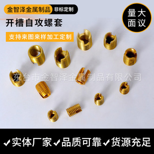 302��̼�僲��\�_���Թ�����10.9���Թ��ݼy�o��M2-M24 ���w���S