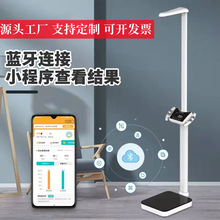 �������������سӲ�������������ѧУ��ͯ�������߾��ȵ�������