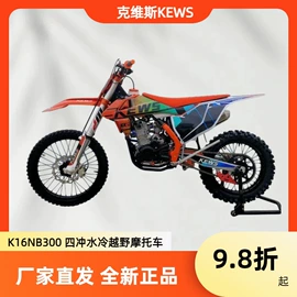其他摩托车;其他电动车;沙滩车