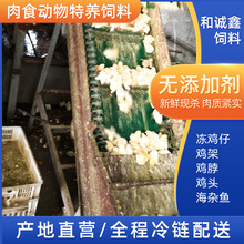 厂家长年供应特种饲料狐狸饲料冷冻小鸡鲜食用生骨肉蛇粮鹰龟喂养