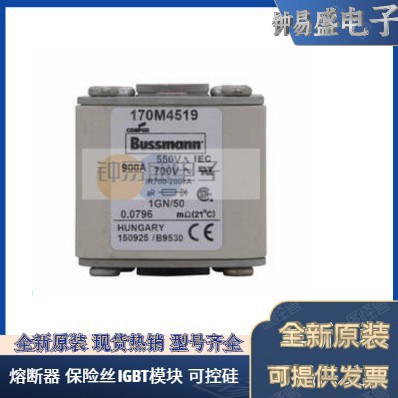 美国BUSSMANN熔断器170M5658  170M5659  170M5660 巴斯曼熔断器