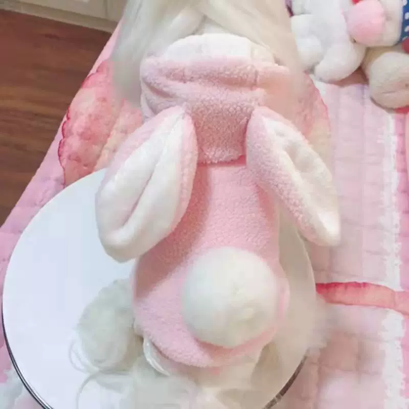 Сицкий питомец утолщает двуногий кролик, домашняя собака, собачья одежда, осенняя и зимняя Тедди, собака, короткая кошка, одежда Enshun