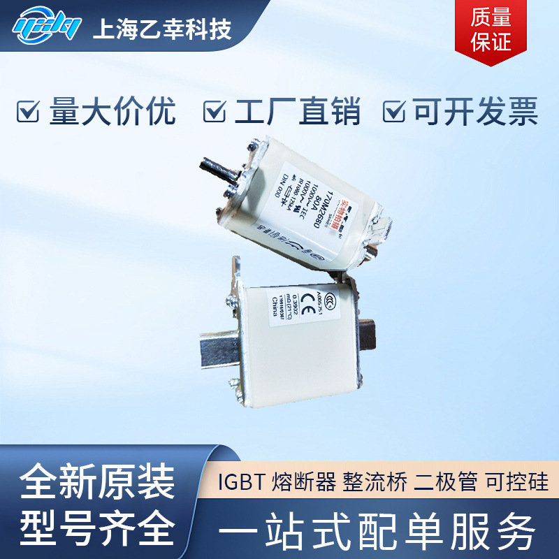 巴斯曼熔断器  170M2695 170M2696 170M2697 170M2698 170M2699