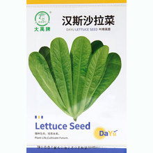 孔雀菜种子种籽生菜沙拉菜籽菜种四季春季盆栽蔬菜孑籽种青菜