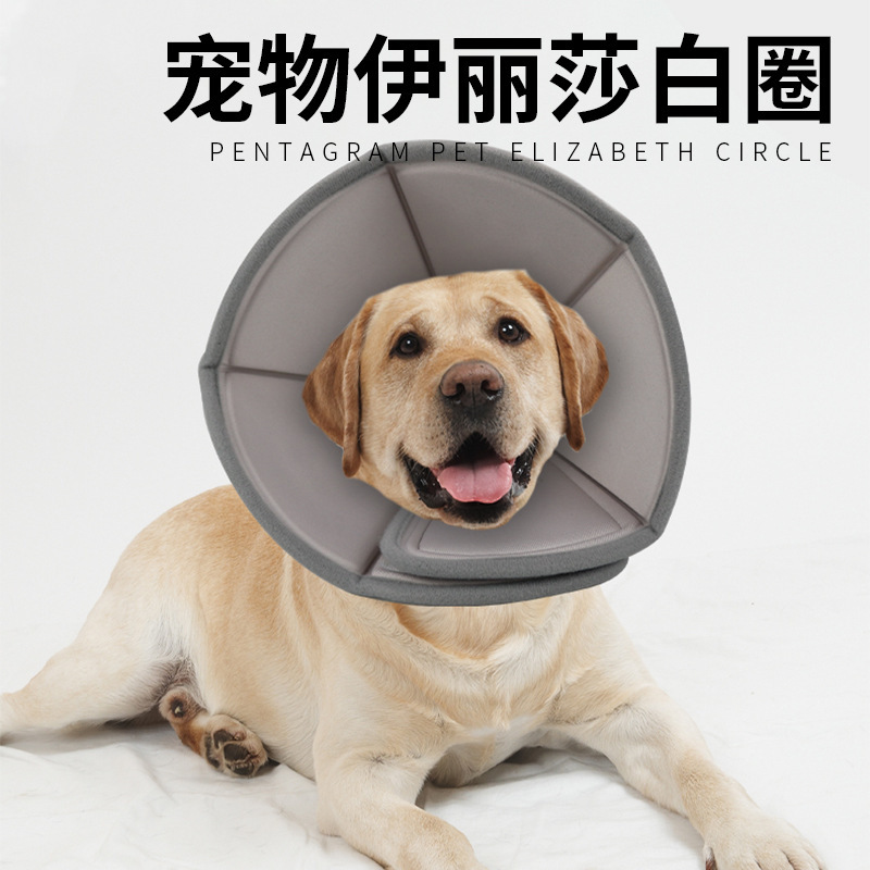 Amazon New Pet Elizabethan Collar for Dogs Soft Neck Collar Protective Head Cover Grooming Collar Paw Print Collar