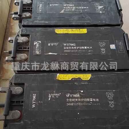 胜迪W7002蓄电池 胜迪 12V120蓄电池  胜迪24V130