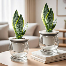 ��߅��Ƥ�m���ԾGֲ�k���҃������ݗ�����ռ�ȩֲ��