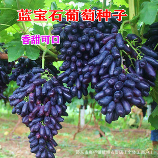 �����{��ʯ���ј�N�����Ե��� ������ �ϱ����ļ��Nֲ�����