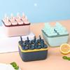 Home ice stick diy Popsicle ice cream Ice Box ice cream Ice Cube self-control Ice box Lollipop Ice cream mould