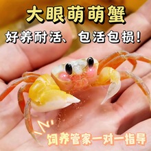 �ͻ���з��з�з��B�ɐ�ɳз�W�t�ײʹ��ۻ��w�^�pз����