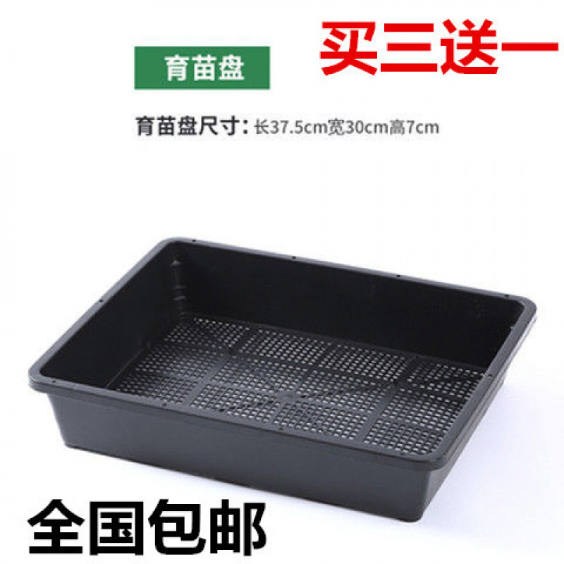 育苗盘买三送一多肉育苗框整理框芽菜盘长方形托盘扦插多肉盆跨境
