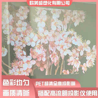 PET正面投影膜 支持3D全息沉浸式场景投影膜 无痕投影 高还原度