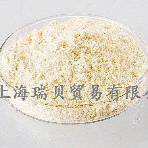 供应IEC60312试验粉尘