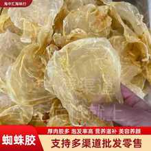 厂家批发海味干货35头蜘蛛胶鱼胶花胶鲜炖奶冻煲汤营养滋补食材