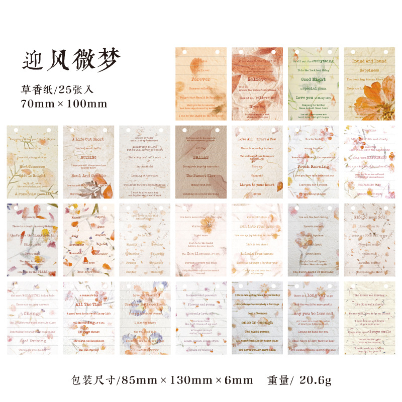 Libro de papel de material de decoración de diario en inglés de Serie 100 piezas Libro de papel transfronterizo Mo material continúa escribiendo humano