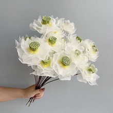 叶脉花干花莲蓬荷花家居花束装饰生日礼物摆件云南永生花跨境批发